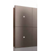 Demo Intensity Bronze 4F
