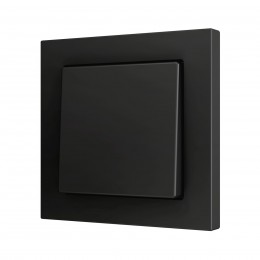 ZS55 – Выключатель с 1 кнопкой для 1 двоичного входа размером 55×55 мм чёрный арт. ZS551PB1A