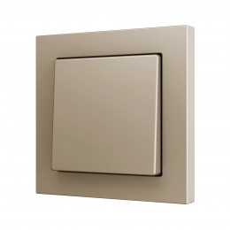 ZS55 – Выключатель с 1 кнопкой для 1 двоичного входа размером 55×55 мм шампань арт. ZS551PB1C