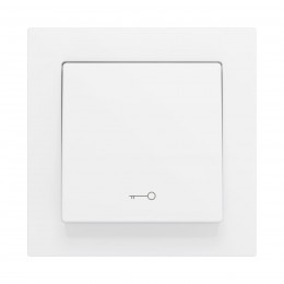 ZS55 – Выключатель с 1 кнопкой для 1 двоичного входа размером 55×55 мм матовый белый, иконка ключа арт. ZS551PB1KMW
