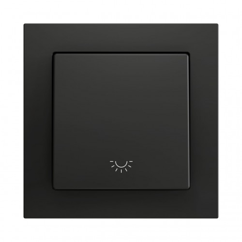 ZS55 – Выключатель с 1 кнопкой для 1 двоичного входа размером 55×55 мм чёрный, иконка освещения арт. ZS551PB1LA