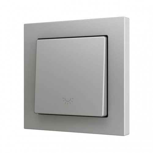 ZS55 – Выключатель с 1 кнопкой для 1 двоичного входа размером 55×55 мм серый, иконка освещения арт. ZS551PB1LS
