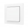 ZS55 – Выключатель с 1 кнопкой для 1 двоичного входа размером 55×55 мм матовый белый арт. ZS551PB1MW