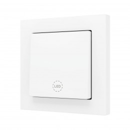 ZS55 – Выключатель с 1 кнопкой для 1 двоичного входа размером 55×55 мм матовый белый, кастомный арт. ZS551PB1MWC