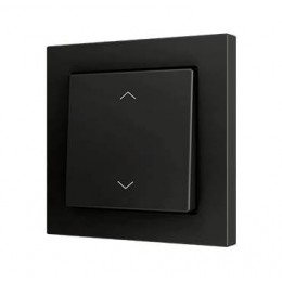 ZS55 – Выключатель с 1 кнопкой для 2 двоичных входов размером 55×55 мм чёрный арт. ZS551PB2A