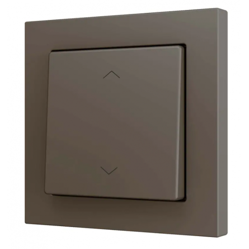 ZENNIO ZS551PB2SHM ZS55. Одно клавишный выключатель  для 2х бинарных входов. Цвет мокко, возможность гравировки -  арт. ZS551PB2SHM