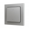 ZS55 – Выключатель с 1 кнопкой для 2 двоичных входов размером 55×55 мм серый арт. ZS551PB2SS
