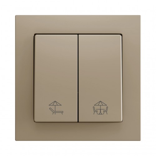 ZS55 – Выключатель с 2 кнопками для 2 двоичных входов размером 55×55 мм шампань арт. ZS552PB2CC