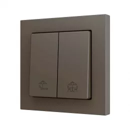 Zennio ZS552PB2MC ZS55, 2х кнопочный выключатель  для 2-х бинарных входов 55x55 мм – цвет мокко, возможность гравировки на заказ, арт. ZS552PB2MC