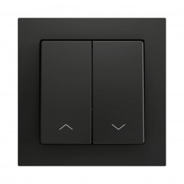 ZS55 – Выключатель с 2 кнопками для 2 двоичных входов размером 55×55 мм чёрный арт. ZS552PB2SA