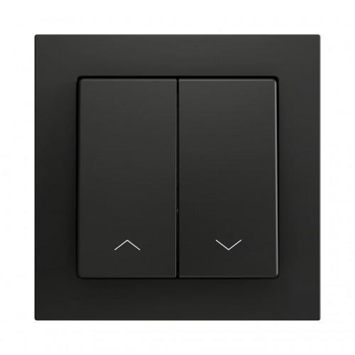 ZS55 – Выключатель с 2 кнопками для 2 двоичных входов размером 55×55 мм чёрный арт. ZS552PB2SA