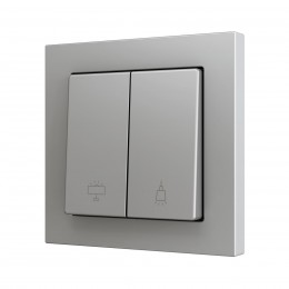 ZS55 – Выключатель с 2 кнопками для 2 двоичных входов размером 55×55 мм серый арт. ZS552PB2SC