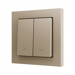 ZS55 – Выключатель с 2 кнопками для 2 двоичных входов размером 55×55 мм шампань арт. ZS552PB2SHC