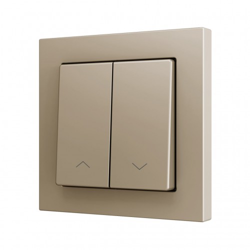 ZS55 – Выключатель с 2 кнопками для 2 двоичных входов размером 55×55 мм шампань арт. ZS552PB2SHC