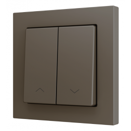 Zennio ZS552PB2SHM ZS55, 2х клавишный выключатель для 2х бинарных входов 55x55 мм – возможность гравировки, цвет мокко, арт. ZS552PB2SHM
