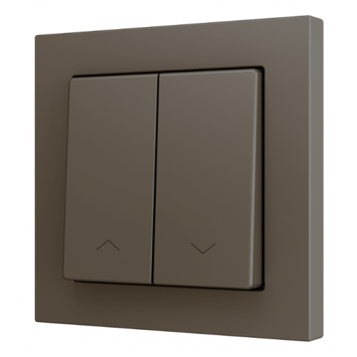 Zennio ZS552PB2SHM ZS55, 2х клавишный выключатель для 2х бинарных входов 55x55 мм – возможность гравировки, цвет мокко, арт. ZS552PB2SHM