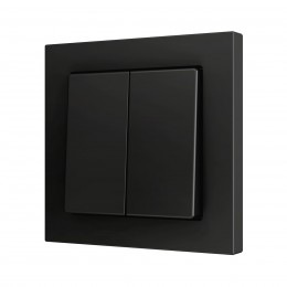 ZS55 – Выключатель с 2 кнопками для 4 двоичных входов размером 55×55 мм чёрный арт. ZS552PB4A