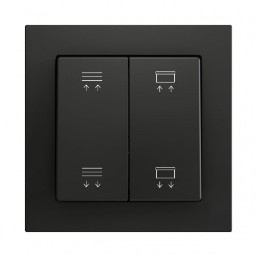 ZS55 – Выключатель с 2 кнопками для 4 двоичных входов размером 55×55 мм чёрный арт. ZS552PB4AC