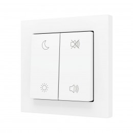 ZS55 – Выключатель с 2 кнопками для 4 двоичных входов размером 55×55 мм матовый белый арт. ZS552PB4MWC