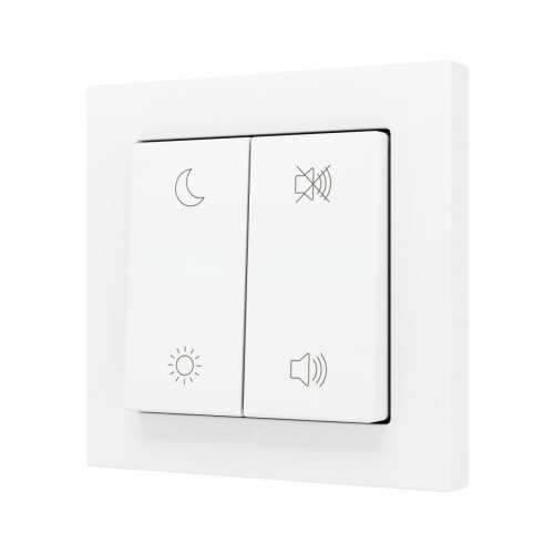 ZS55 – Выключатель с 2 кнопками для 4 двоичных входов размером 55×55 мм матовый белый арт. ZS552PB4MWC