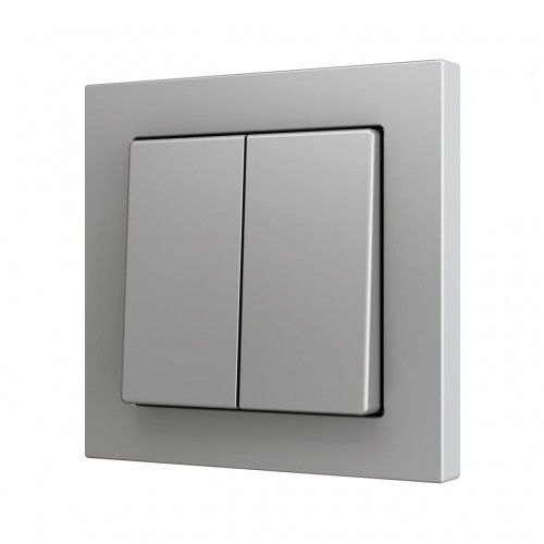 ZS55 – Выключатель с 2 кнопками для 4 двоичных входов размером 55×55 мм серый арт. ZS552PB4S