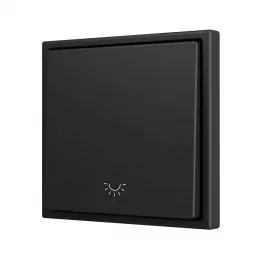 Zennio ZS701PB1LA ZS70, Простая кнопка для 1 бинарного входа 70x70 мм – Значок подсветки, Антрацит, арт. ZS701PB1LA