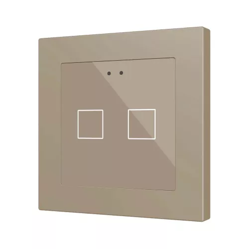 Zennio ZVIFR55X2C Емкостный сенсорный выключатель с RGB-подсветкой (55 x 55 мм) Flat RGB 55 X2 - шампань - арт. ZVIFR55X2C