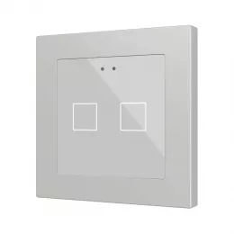Zennio ZVIFR55X2S Емкостный сенсорный выключатель с RGB-подсветкой (55 x 55 мм) Flat RGB 55 X2 - серебристый - арт. ZVIFR55X2S