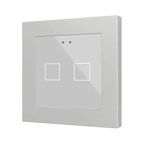 Zennio ZVIFR55X2S Емкостный сенсорный выключатель с RGB-подсветкой (55 x 55 мм) Flat RGB 55 X2 - серебристый - арт. ZVIFR55X2S
