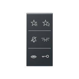 Symbol cover audio per serie AS e A, actracite opaco арт. SIA6ADCANM
