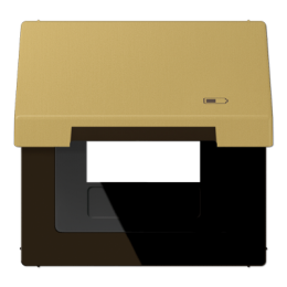 Coperchio a cerniera con simbolo "caricabatteria" per caricabatteria USB, ottone classico арт. ME2990KLUSBC