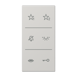 Symbol cover audio per serie LS, grigio chiaro арт. SIA6LSDCLG