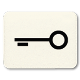 Simboli per interruttore, bianco, porta арт. 33T
