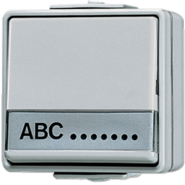 Switch a bilanciere 10 AX 250 V~ con targhetta 17 x 72 mm, universale арт. 606NAW