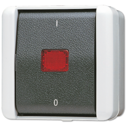 Switch di controllo a bilanciere 10 AX 250V~ con lampada fluorescente art. 90 e uscita luce rossa, Switch 2 P арт. 802KOW