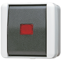 Switch di controllo a bilanciere 10 AX 250 V~ con lampada fluorescente art. 90 e uscita lluce rossa, Switch deviatore universale арт. 806KOW